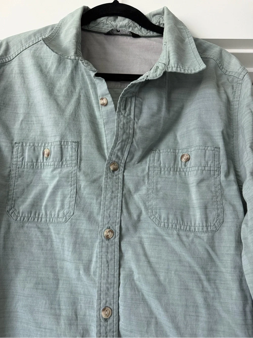 The North Face Men's Light Sage Green Button-Down Shirt